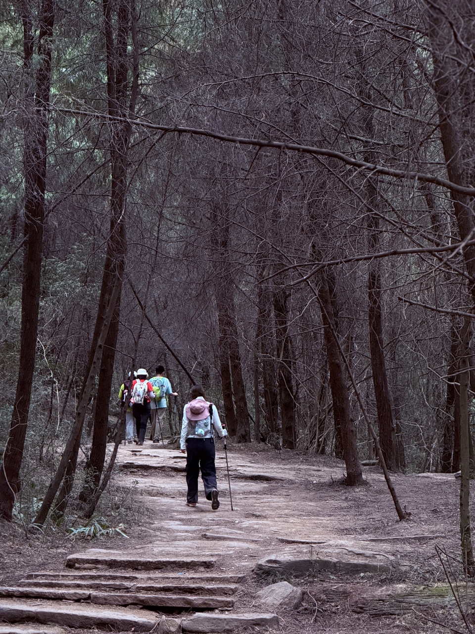 微信图片_20250503202327