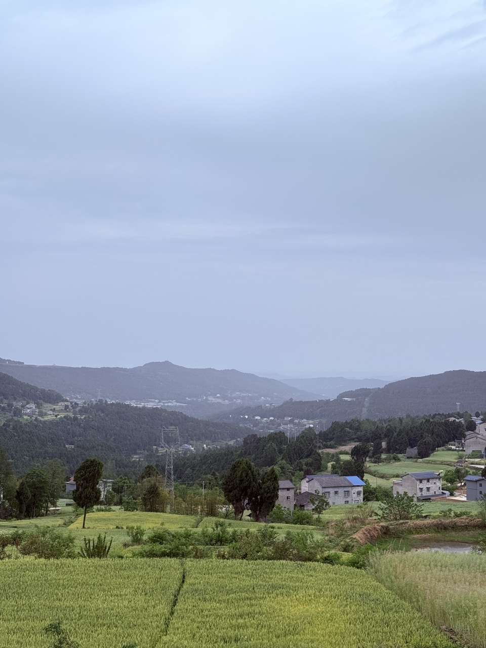 微信图片_20250503202335