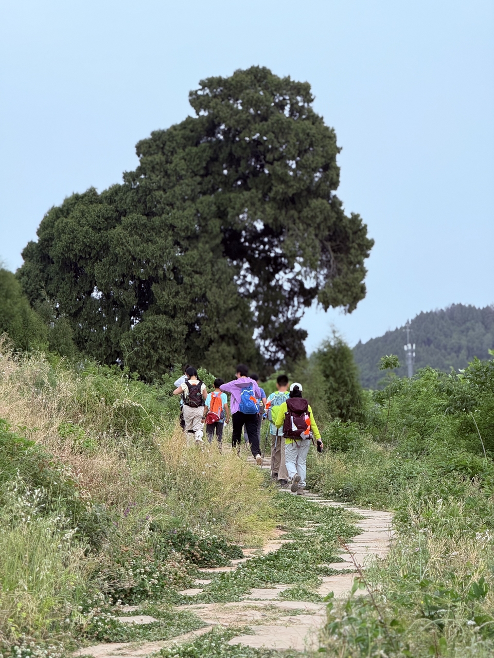 微信图片_20250503202338