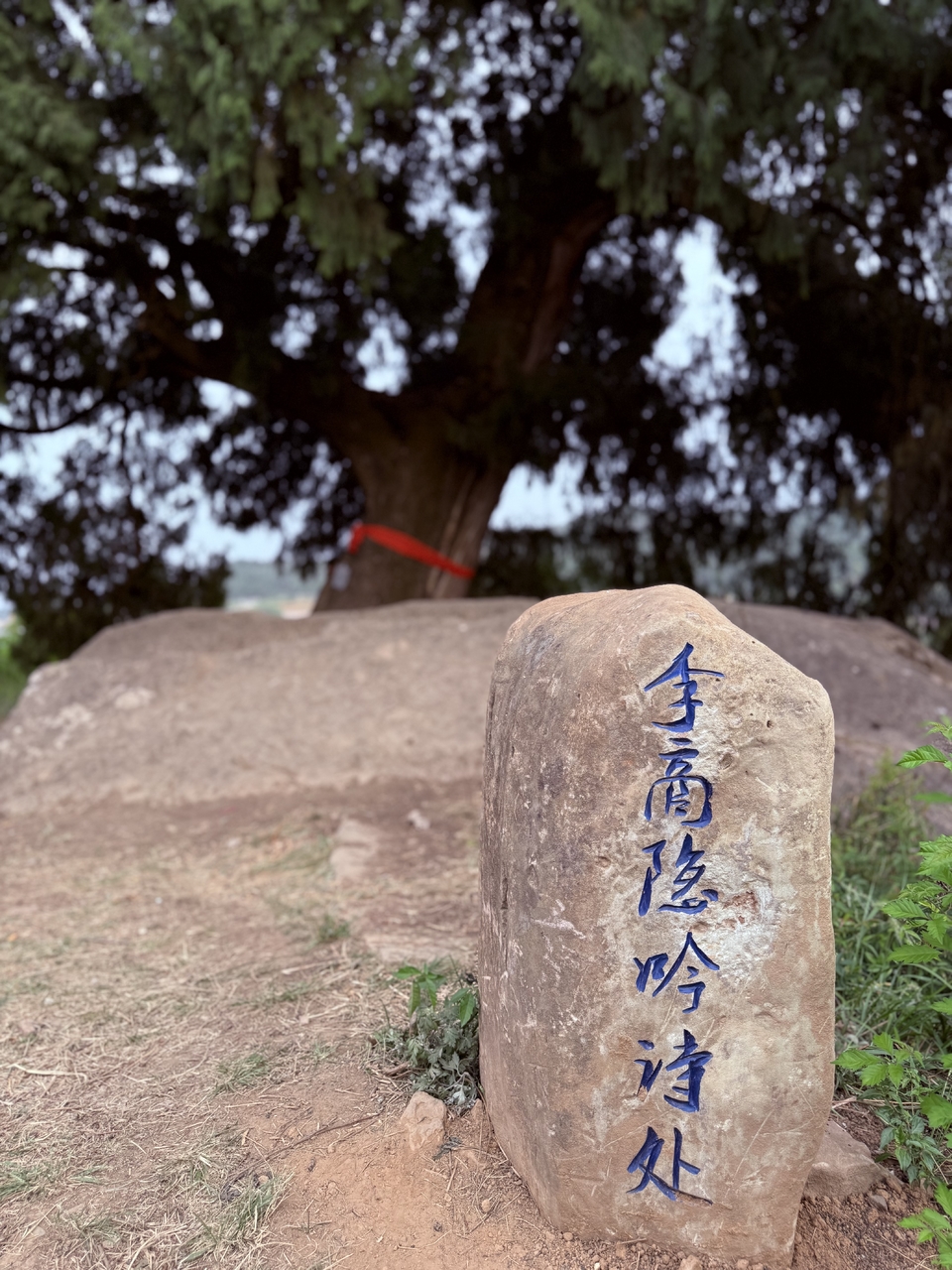 微信图片_20250503202358