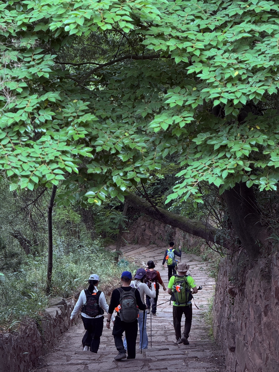 微信图片_20250506180449