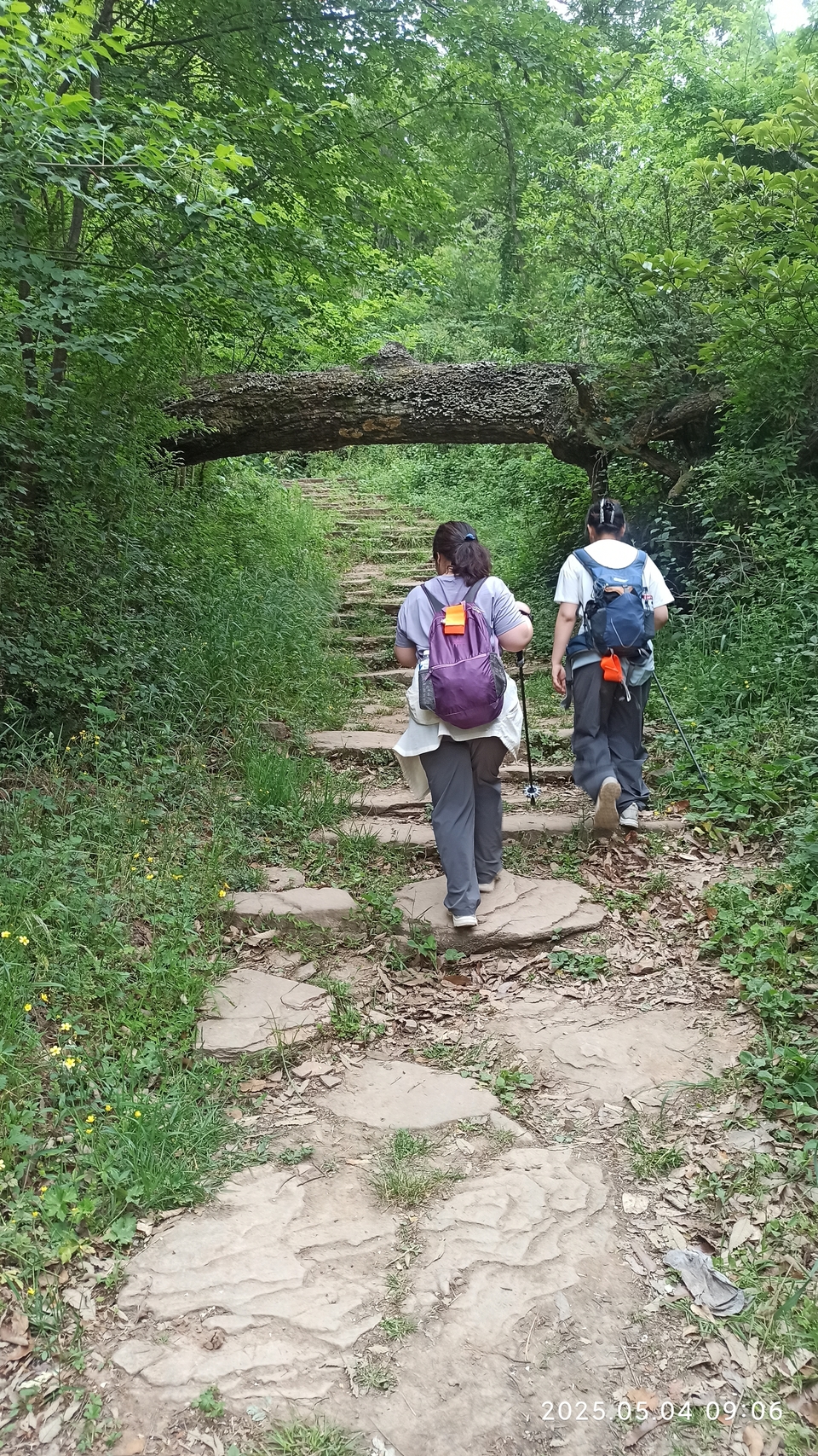 微信图片_20250506180916