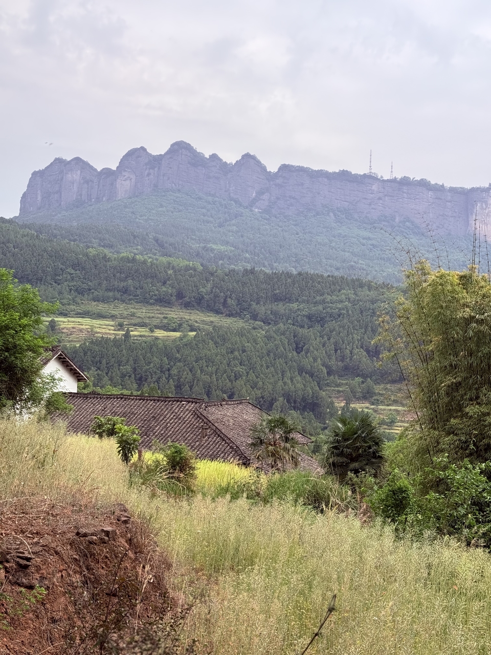 微信图片_20250506180921