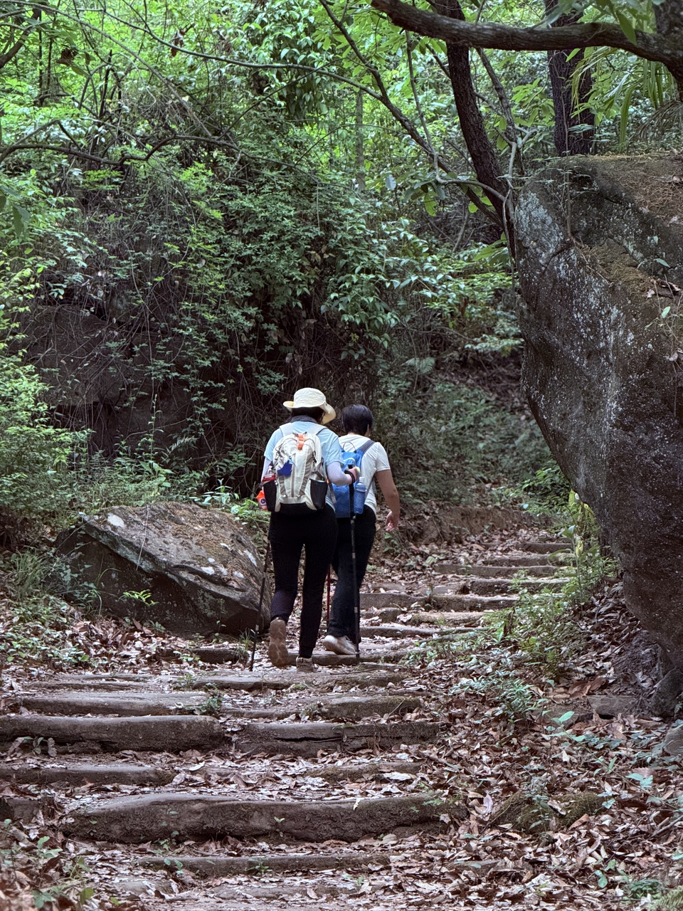 微信图片_20250506180923