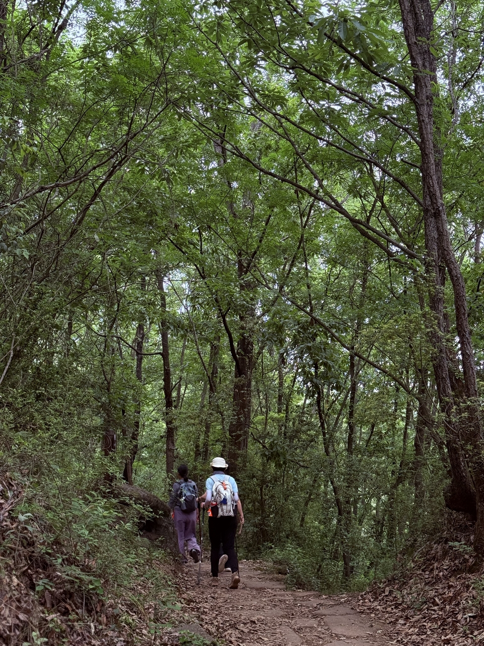 微信图片_20250506180925