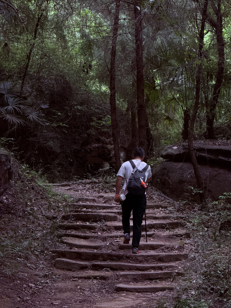 微信图片_20250506180927