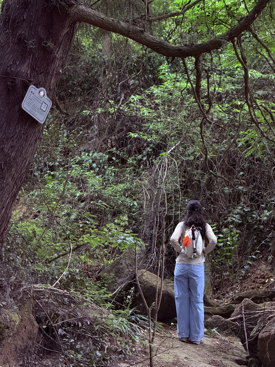 微信图片_20250506180936