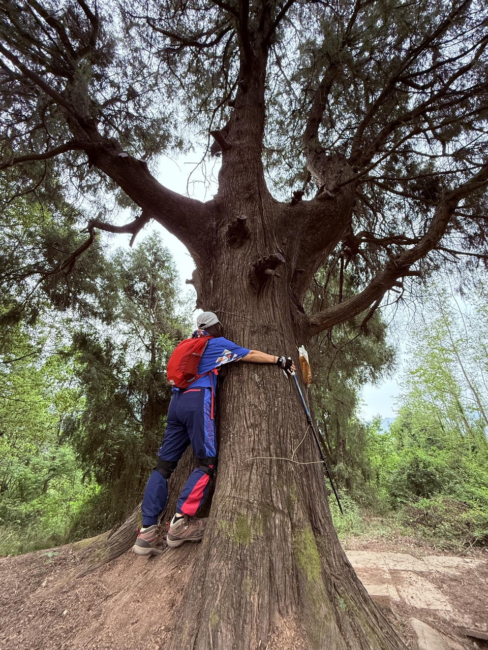 微信图片_20250506180943