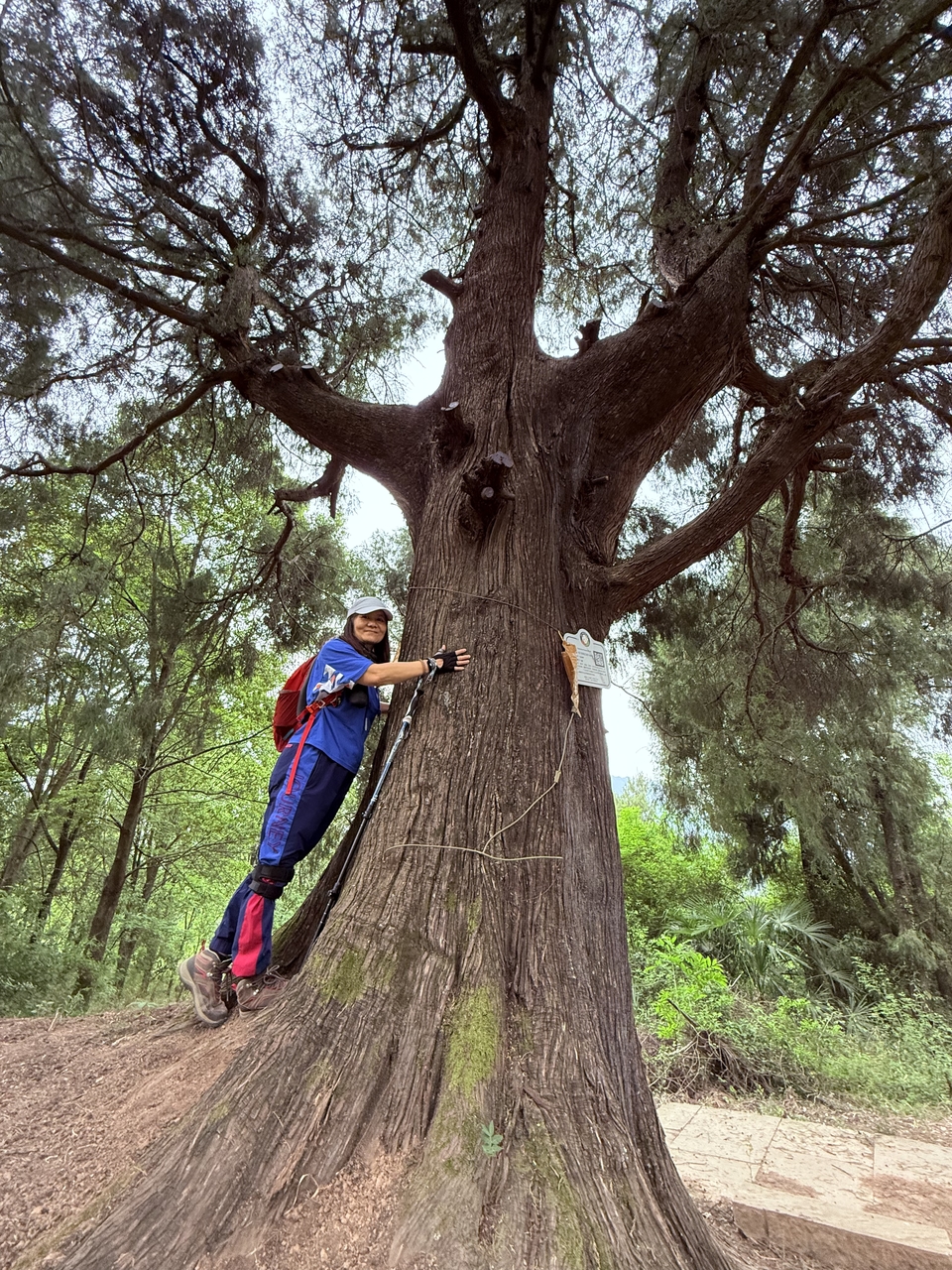 微信图片_20250506180946