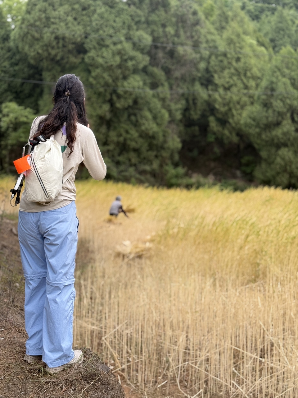 微信图片_20250506180949