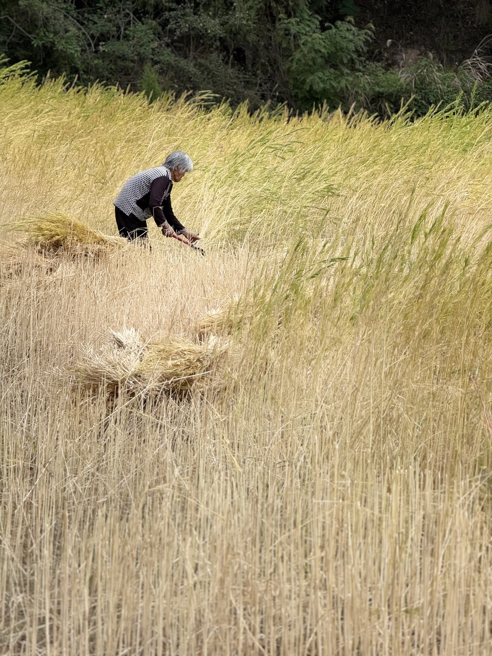 微信图片_20250506180950