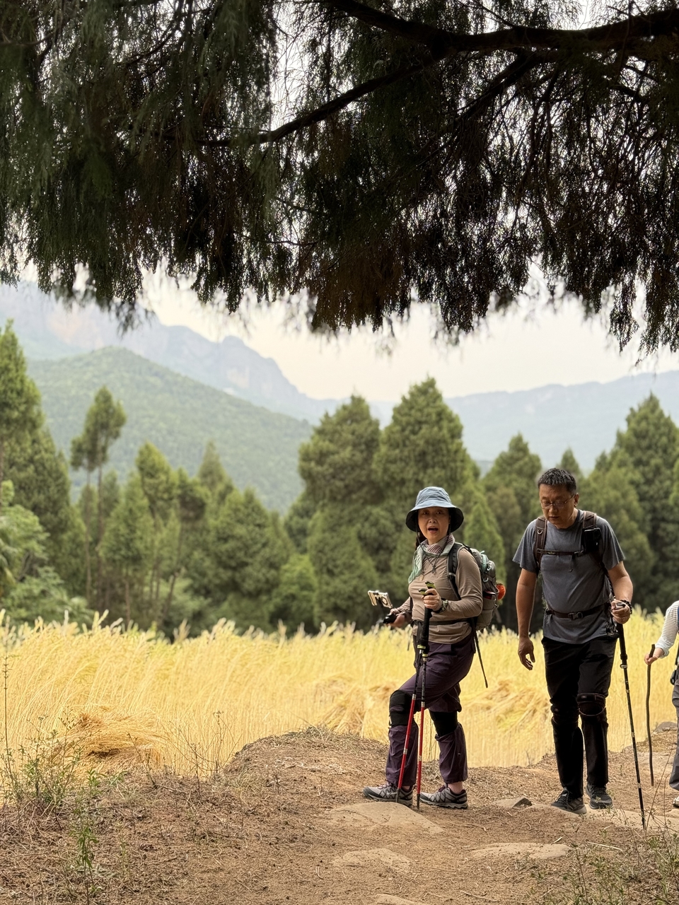 微信图片_20250506180955