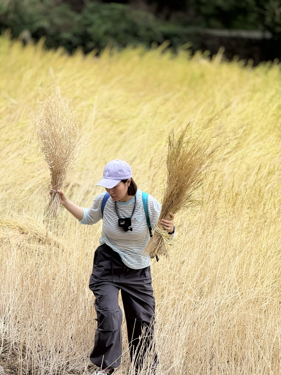 微信图片_20250506180959