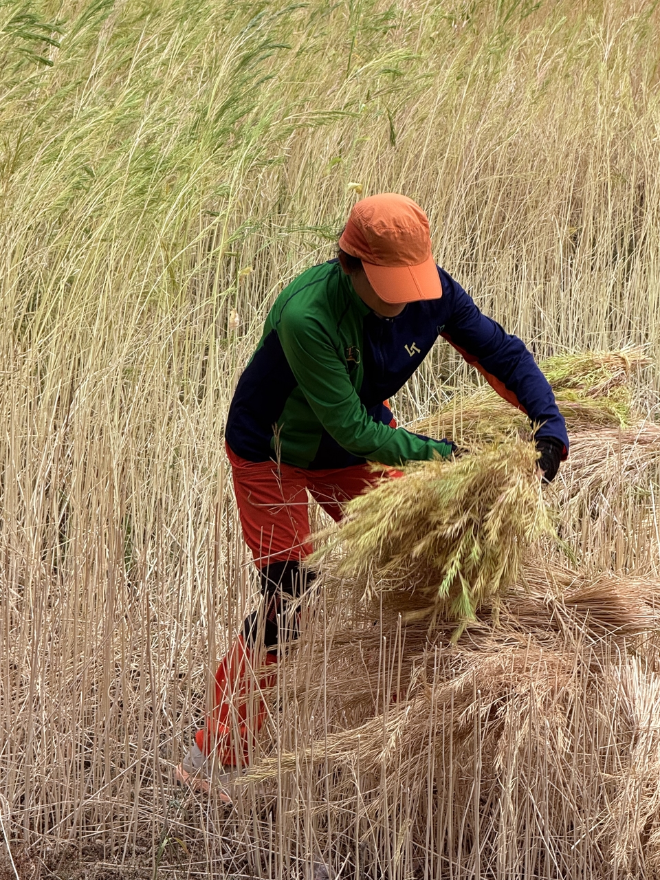 微信图片_20250506181011