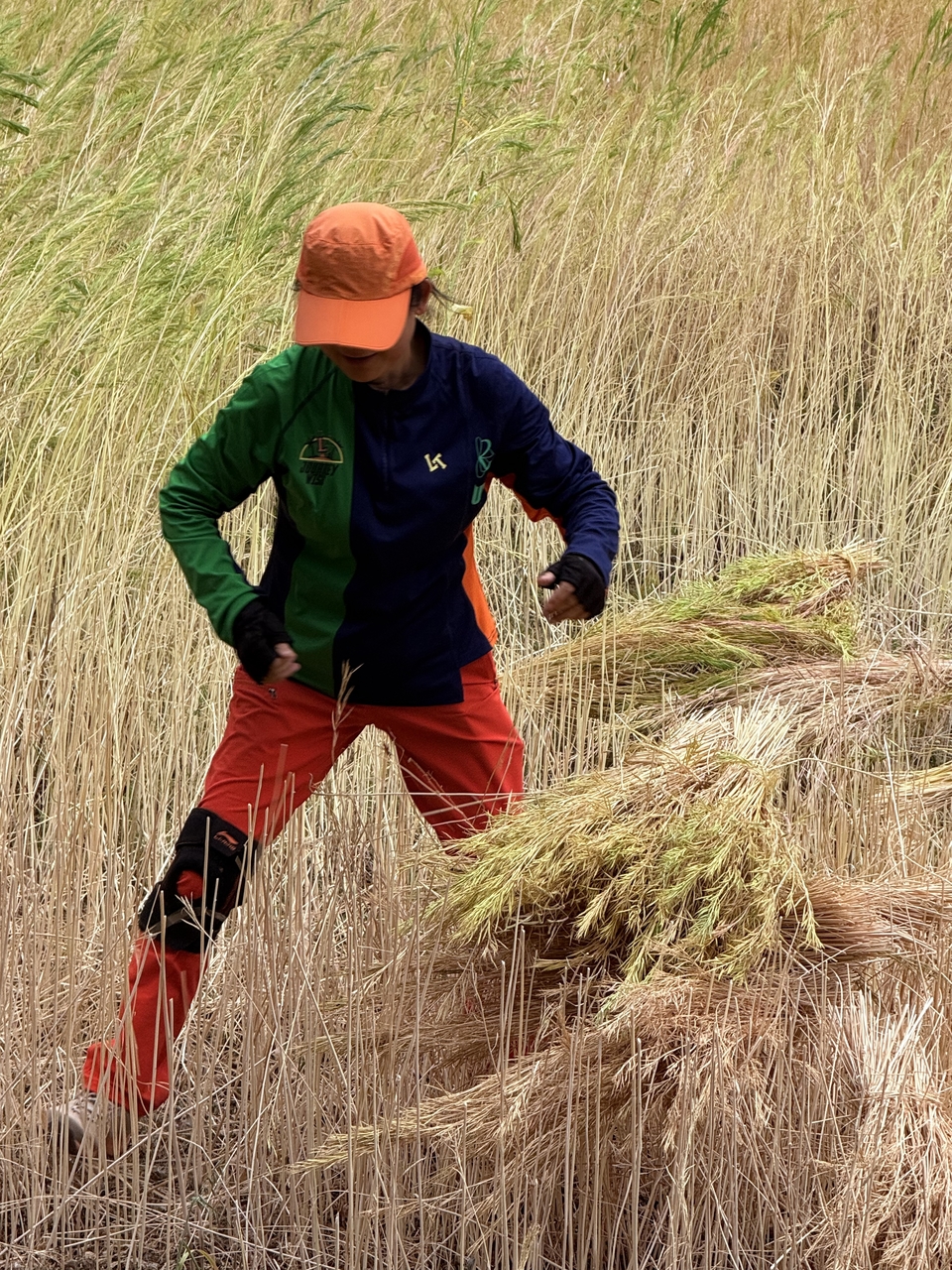 微信图片_20250506181012