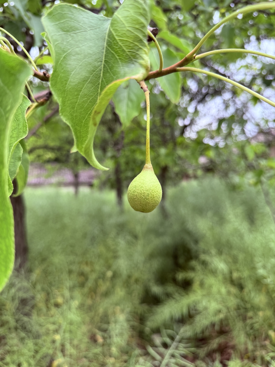 微信图片_20250506181018