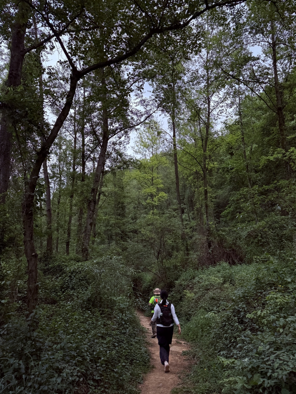 微信图片_20250506181043