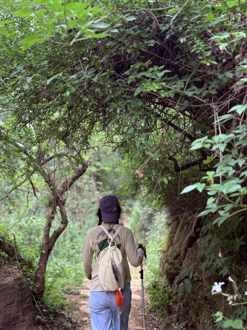 微信图片_20250506181053