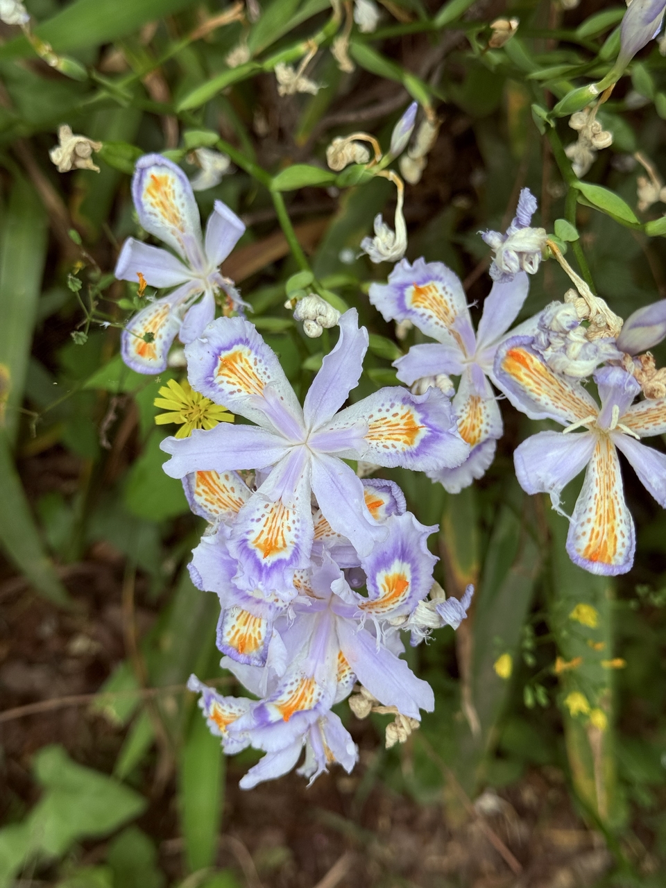 微信图片_20250506181100