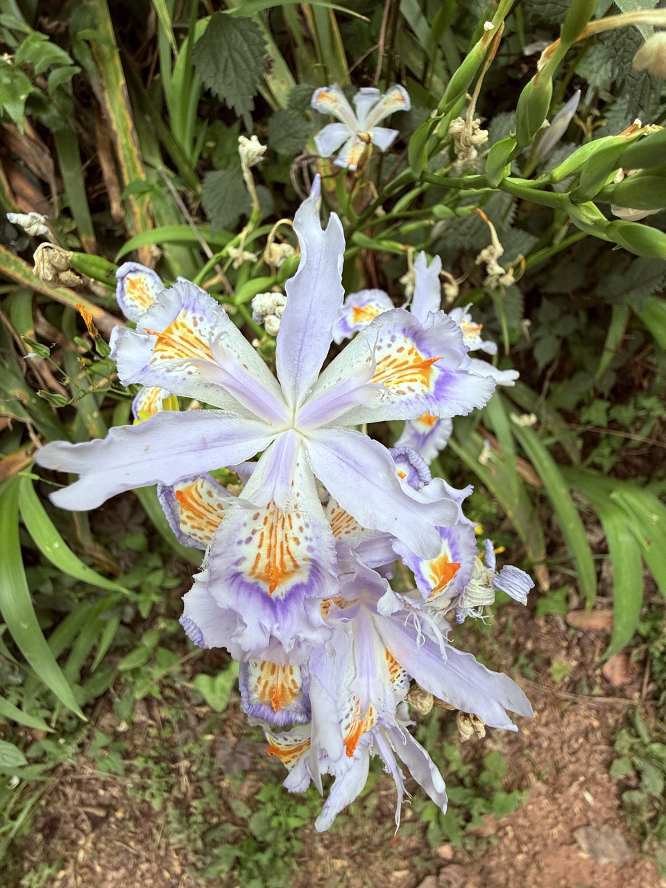 微信图片_20250506181101