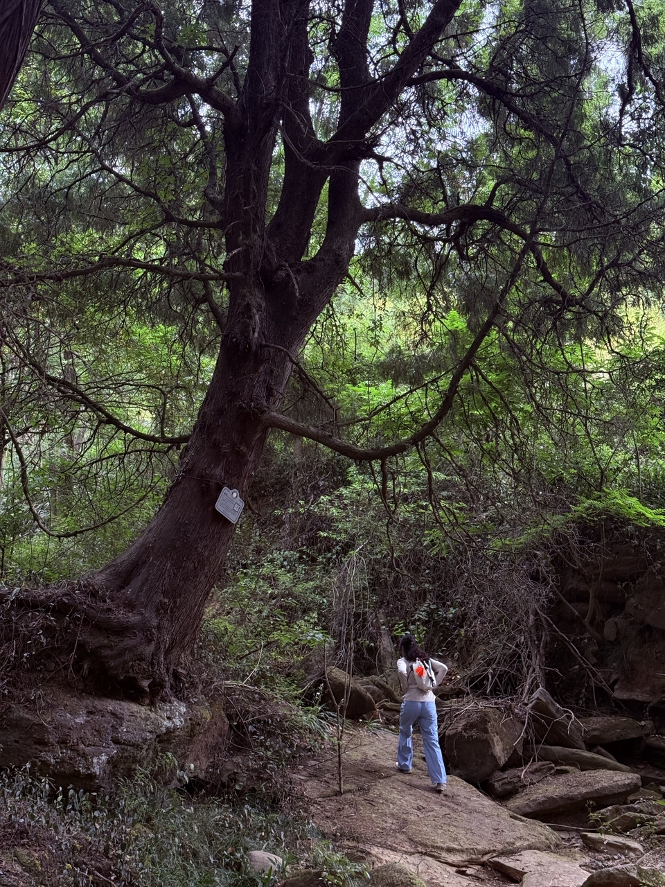 微信图片_202505061809311