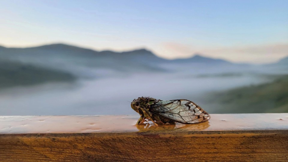 微信图片_20230810103352