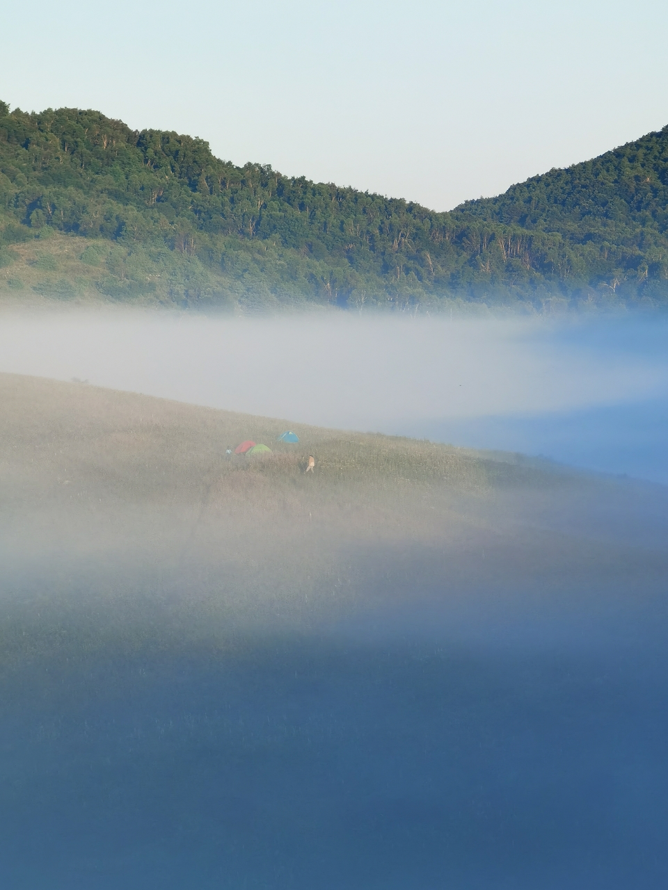 微信图片_20230815100726