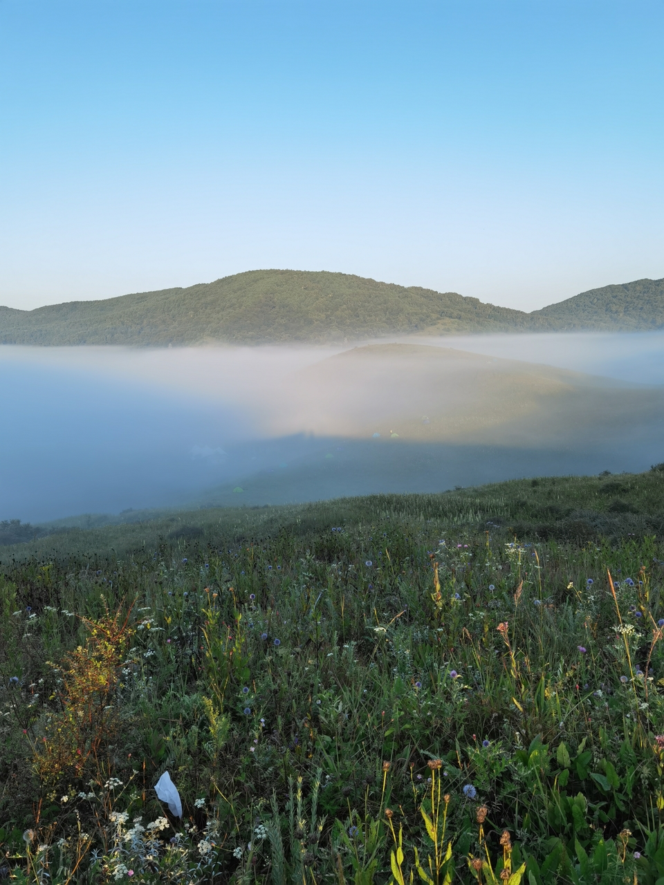 微信图片_20230815100731