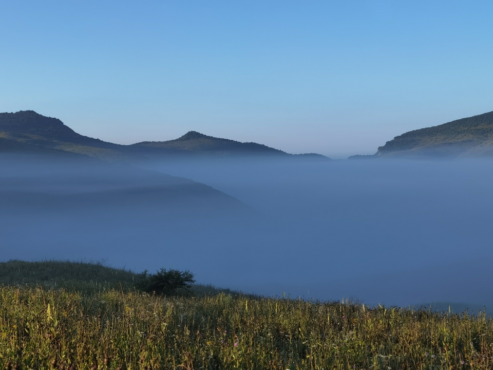 微信图片_20230815100739