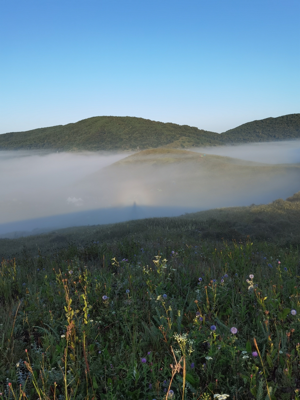 微信图片_20230815100744