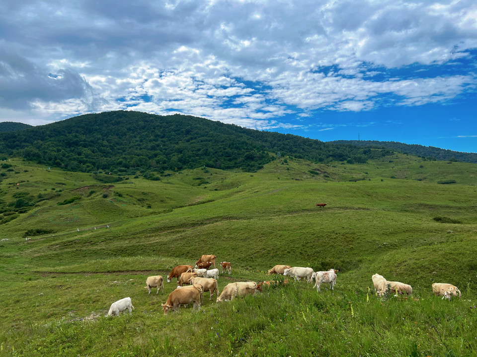 微信图片_20230815101051