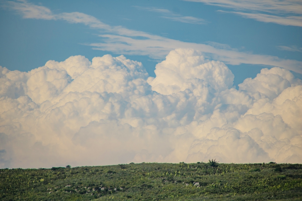 微信图片_202308151005402