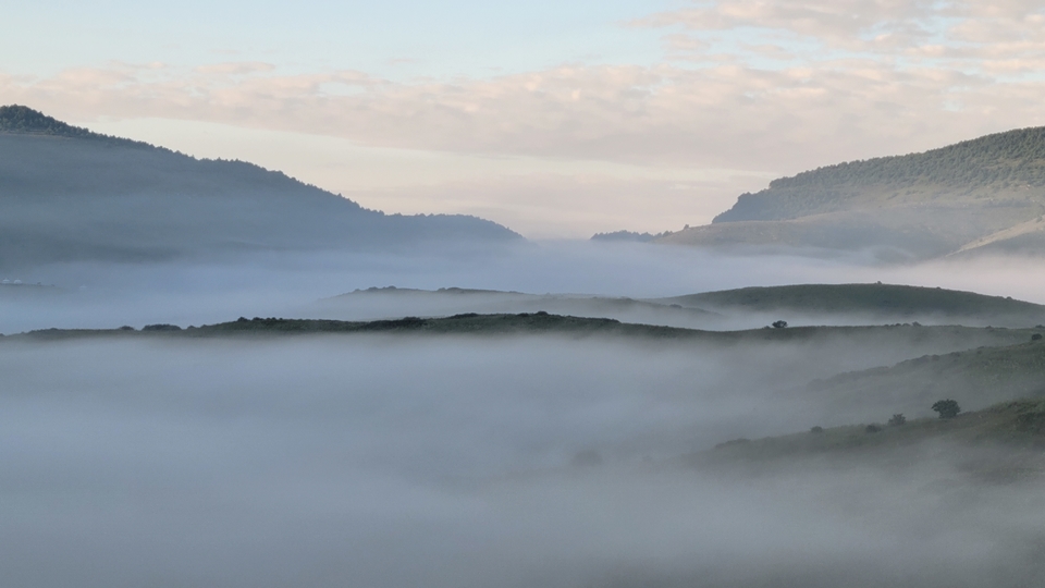 微信图片_202308151015521