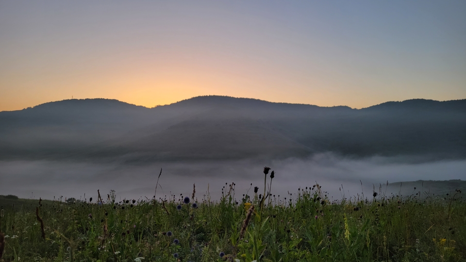 微信图片_202308151016175