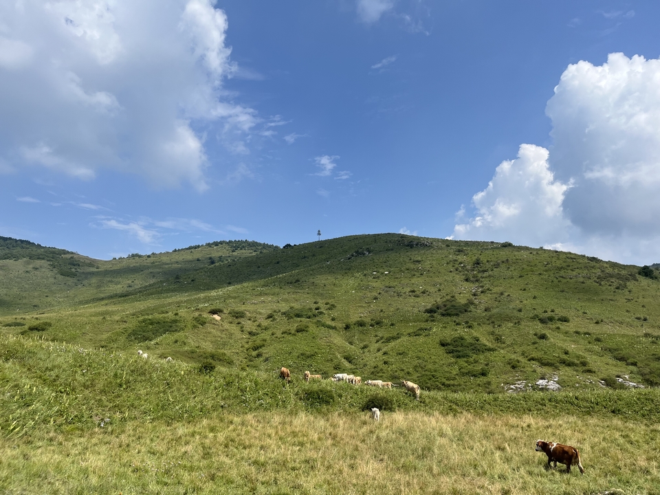 微信图片_202308261427561