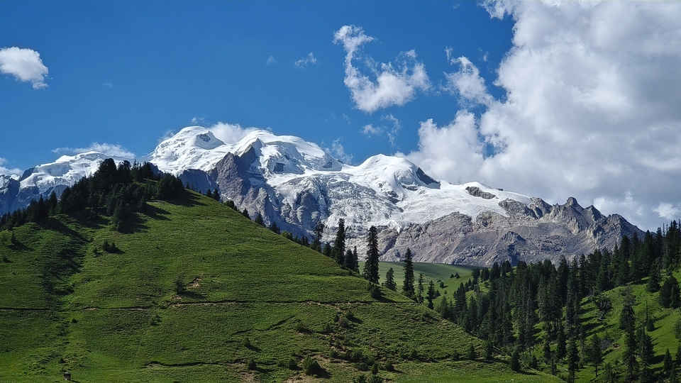 微信图片_20250728203215