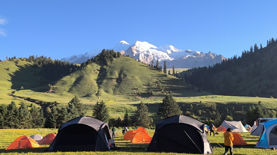 微信图片_20250729092024