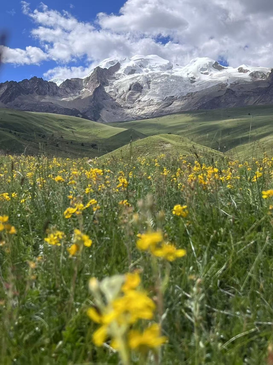 微信图片_20250729092034