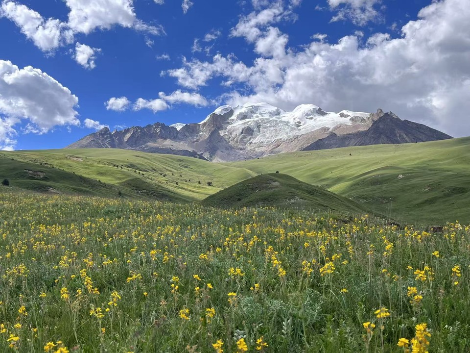 微信图片_20250729092036