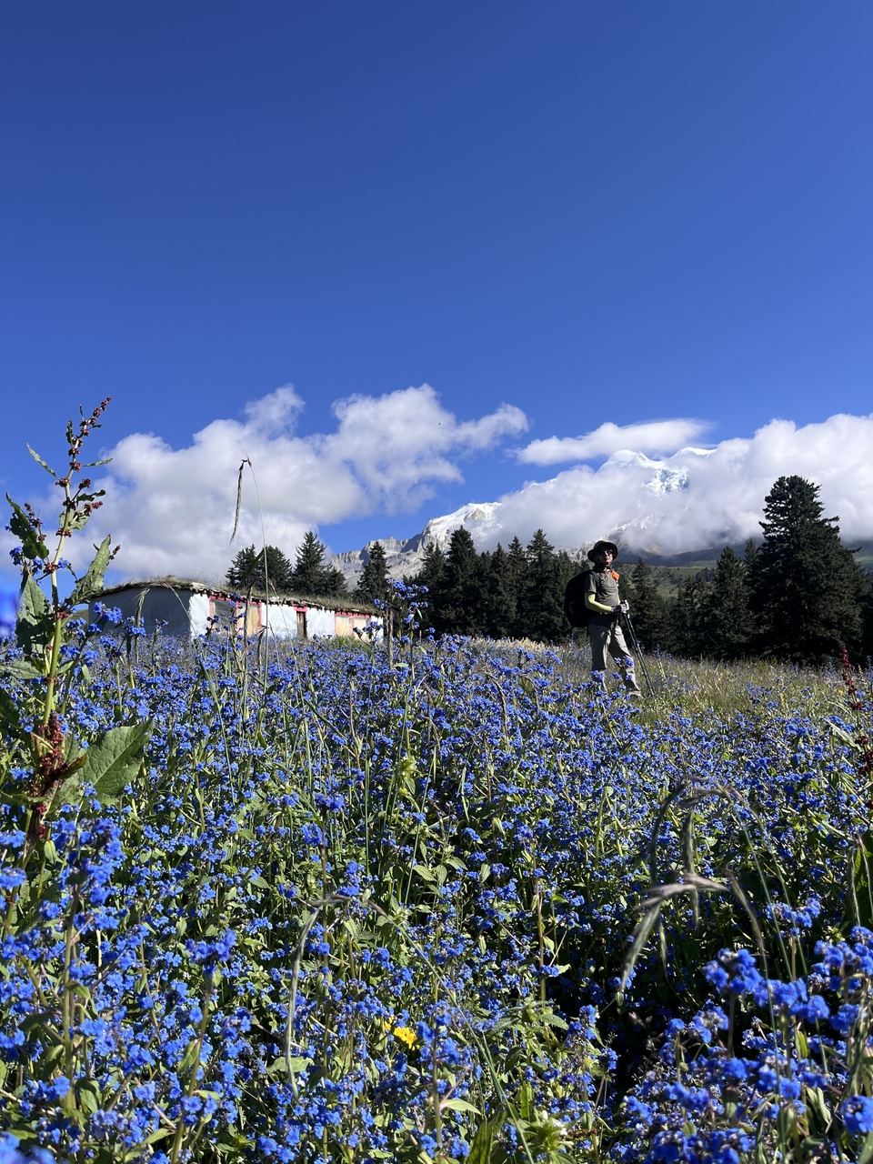 微信图片_20250730191441