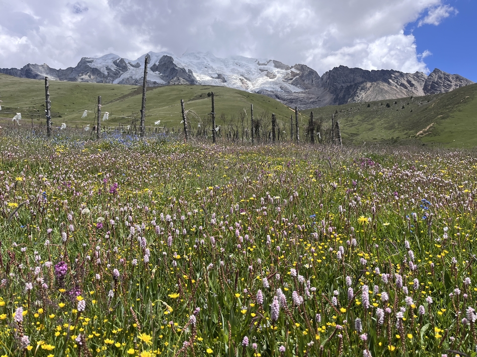 微信图片_20250730191622