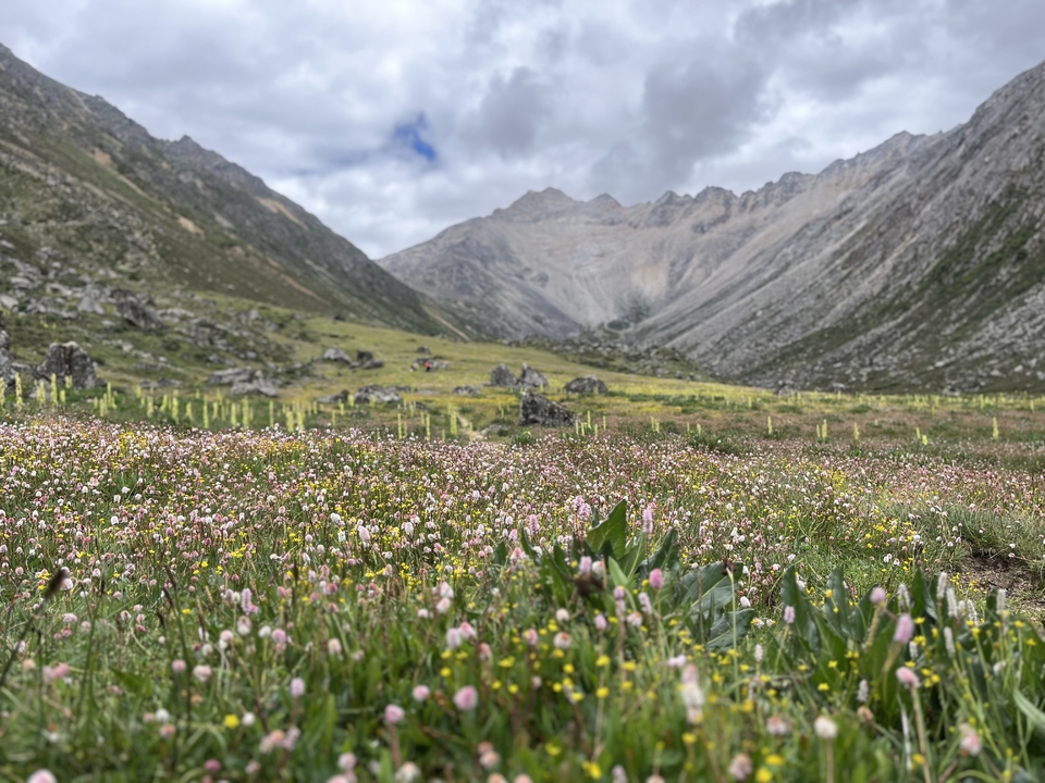 微信图片_20250730191733