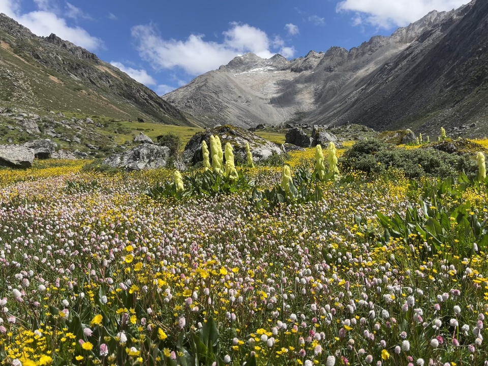 微信图片_20250730195435