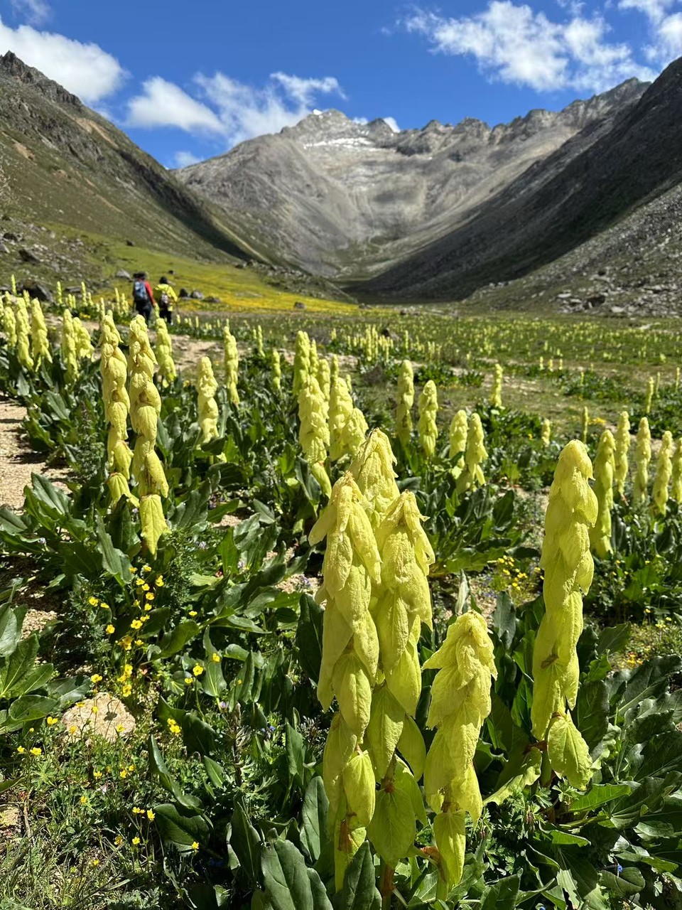 微信图片_20250730195506