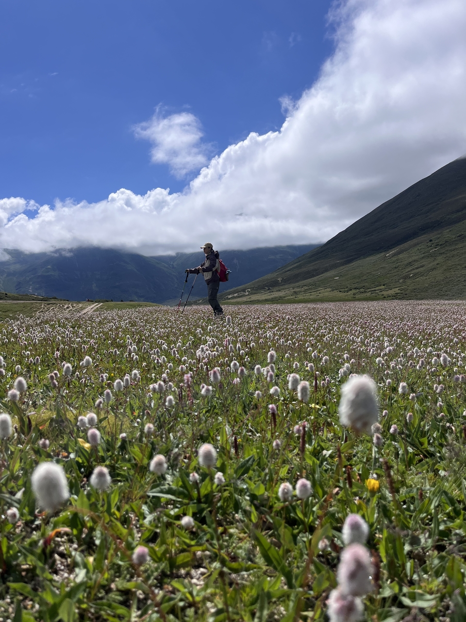 微信图片_20250731175105