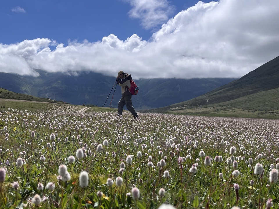 微信图片_20250731175115