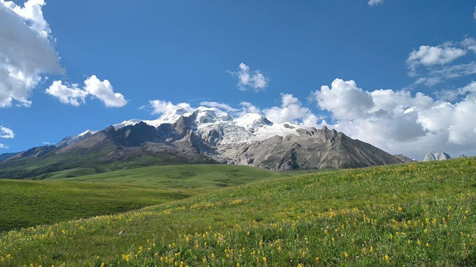 微信图片_202507290920301