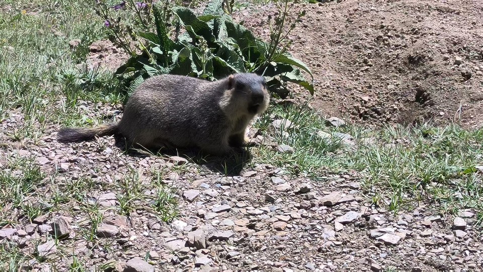 微信图片_202507290920311