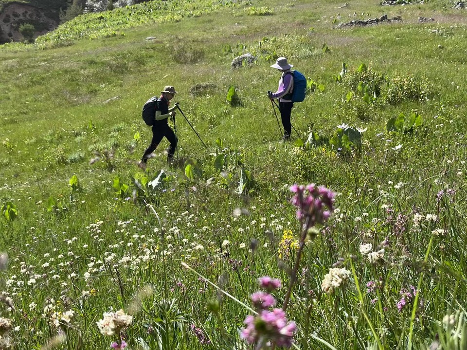 微信图片_202507290920321