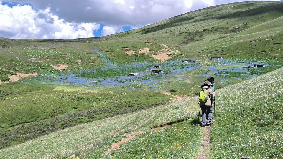 微信图片_202507301945121